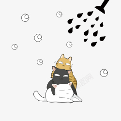 猫洗澡卡通动物猫咪洗澡可爱清晰高清图片