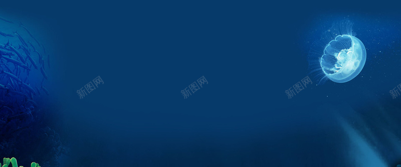 简约大气海底世界水母广告bannerjpg设计背景_新图网 https://ixintu.com banner 全屏轮播 商务 大气 广告 彩色水母 水母 海底世界 简约