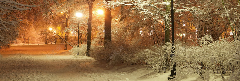 雾凇雪景背景图背景