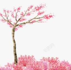 粉色小树素材