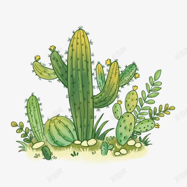 手绘热带唯美植物仙人掌psd免抠素材_新图网 https://ixintu.com 唯美仙人掌 手绘热带植物仙人掌 插画 绿色植物