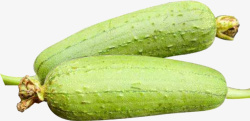 蔬菜瓜好吃的白丝瓜高清图片