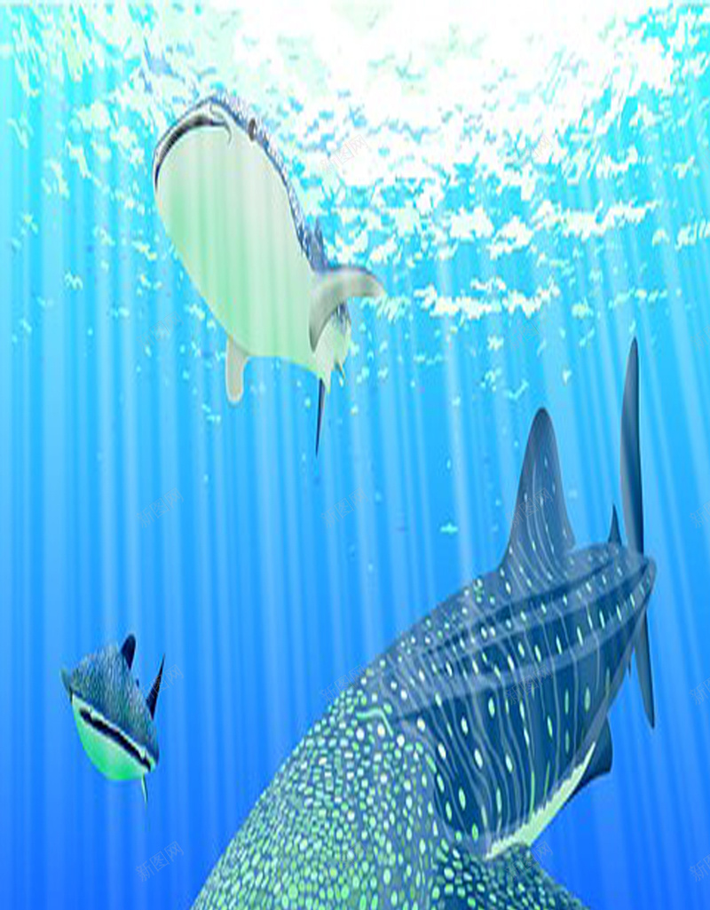 梦幻海底鲸鱼H5素材jpg设计背景_新图网 https://ixintu.com 海水 白色 蓝色 阳光 鲸鱼 卡通 温馨 童趣 手绘
