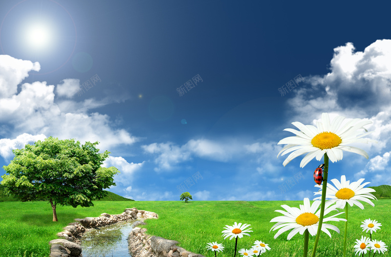环保大自然背景图jpg设计背景_新图网 https://ixintu.com 自然 环保 回归 向日葵 蓝天 白云 背景海报 温暖 幸福 开心