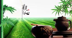茶业海报绿色竹子茶园茶业海报高清图片