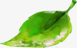 手绘创意合成绿色的树叶youhua3素材