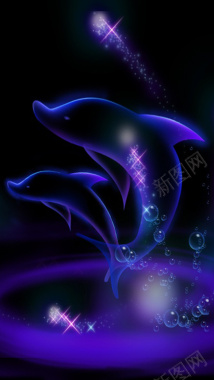紫色星星蓝色海豚气泡H5背景背景