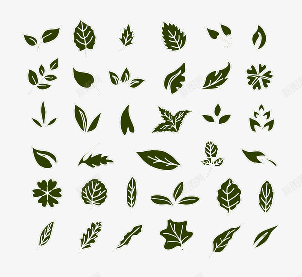 36款手绘树叶png免抠素材_新图网 https://ixintu.com 手绘树叶 树叶 树叶设计 绿色