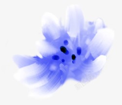 蓝色花卉花朵素材