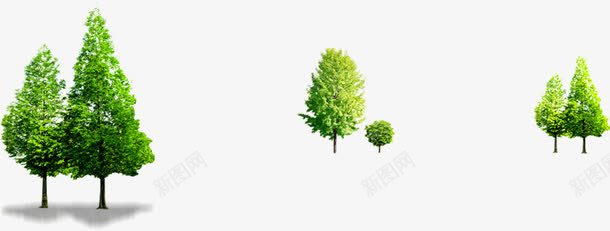 绿树园林绿化植物png免抠素材_新图网 https://ixintu.com 园林 植物 绿化 绿树