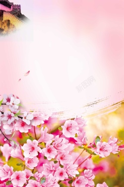 日系花海唯美春天醉美樱花节春季旅游高清图片