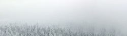 雾景雪景雾景淘宝背景高清图片