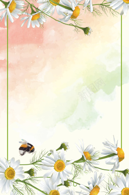 水彩花卉服装新品宣传海报宣传单背景背景