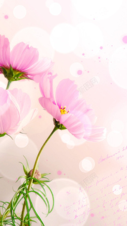 粉红水粉花h5艺术之花手绘H5背景高清图片