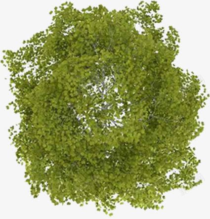 绿色树木植物壁纸png免抠素材_新图网 https://ixintu.com 壁纸 树木 植物 绿色