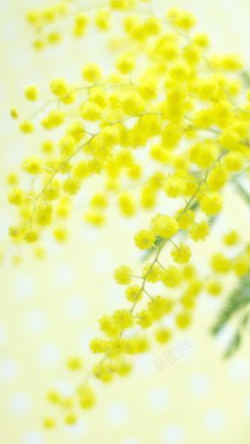 粉底小花h5黄色的小花H5背景高清图片