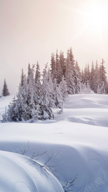 梦幻冬季雪景手机端H5背景背景