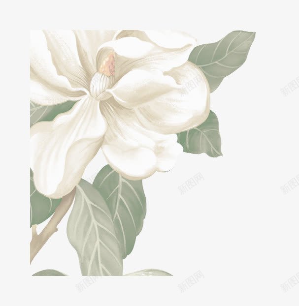 花朵白色元素花瓣png免抠素材_新图网 https://ixintu.com 元素 白色 花朵