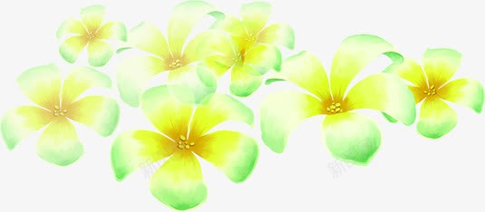 春天手绘黄绿色漂浮花朵png免抠素材_新图网 https://ixintu.com 春天 漂浮 花朵 黄绿色