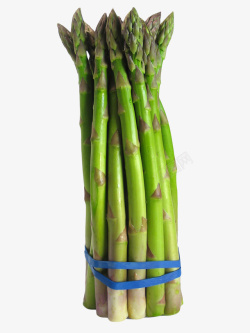 绿色蔬菜竹笋素材