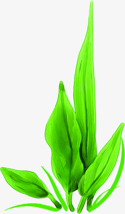 手绘春天绿色卡通植物树叶素材