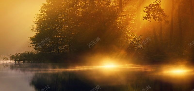 秋天森林jpg设计背景_新图网 https://ixintu.com 海报banner 秋季森林 思念 枫叶 风景 摄影