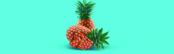 高清菠萝素材水果摄影高清图片