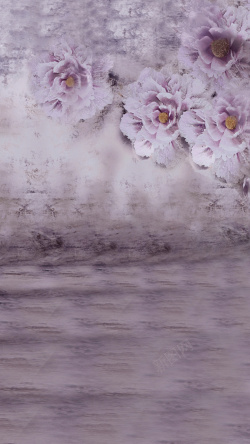 灰色玫瑰花时尚的灰色墙纸玫瑰花H5背景高清图片