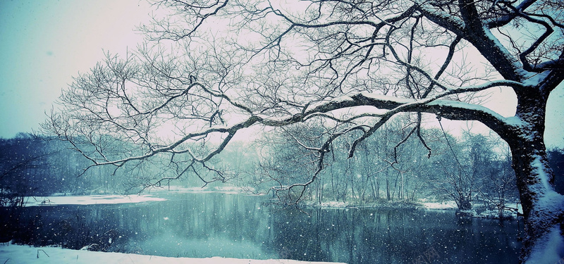 淘宝背景图jpg设计背景_新图网 https://ixintu.com 树枝 冬天 雪景 湖泊 摄影 海报banner 风景