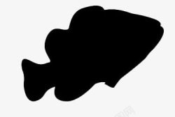 黑色海鱼鱼高清图片