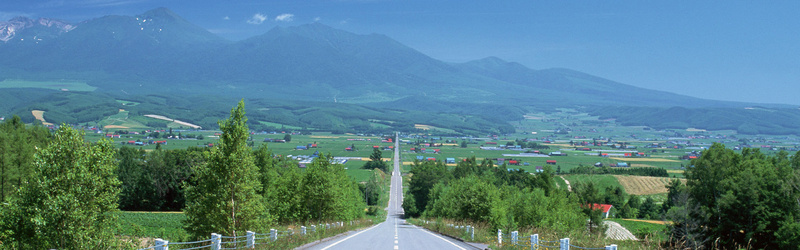 城市山村jpg设计背景_新图网 https://ixintu.com 绿树 草坪马路 马路背景 公路banner 城市 浪漫小道banner 山村 海报banner 摄影 风景