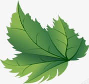 绿色卡通手绘树叶脉络素材