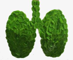 肺部与绿植素材