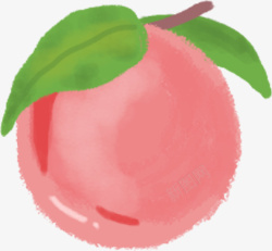 手绘一串桃子手绘插画水果水蜜桃高清图片