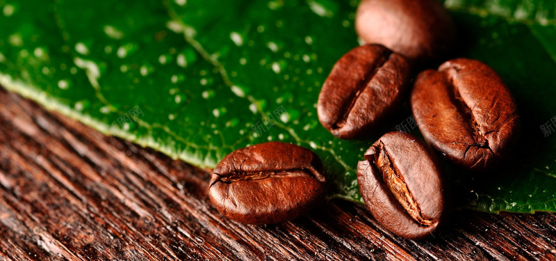 咖啡豆绿叶背景背景