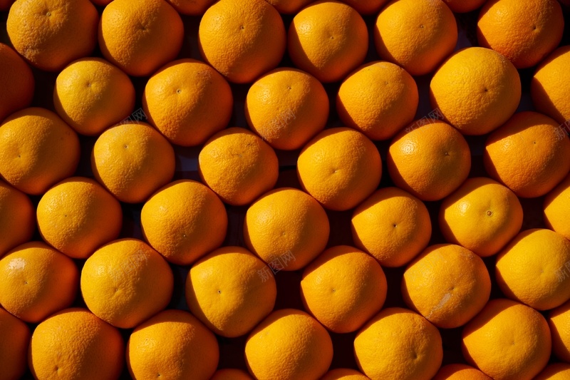 橙子橙色背景水果jpg设计背景_新图网 https://ixintu.com 橙子 橙色 水果 背景