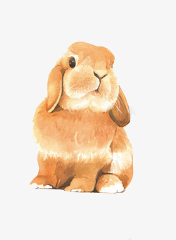 手绘棕色兔子素材