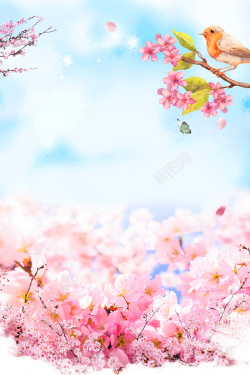 漫粉色樱花节海报醉美樱花节日海报高清图片