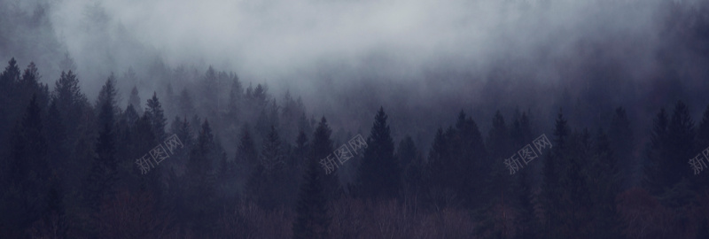 森林雾气背景jpg设计背景_新图网 https://ixintu.com 海报banner 摄影 风景 森林雾气背景