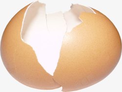 残缺蛋壳漂亮残缺蛋壳高清图片