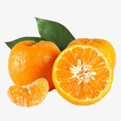 两瓣橘子粑粑柑橘子新鲜橘子两瓣儿高清图片