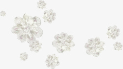 白色花瓣素材