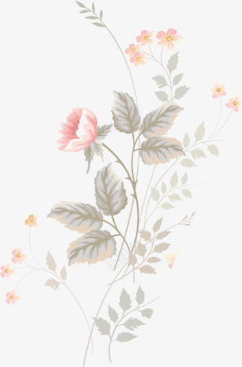 花卉插画艺术绘画元素png免抠素材_新图网 https://ixintu.com 元素 插画 背景 花卉 花朵