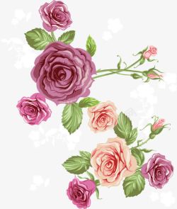 粉色玫瑰玫瑰花海矢量图素材