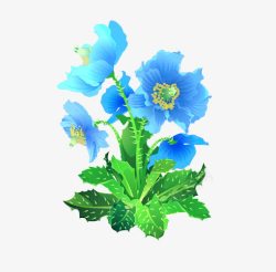 蓝色的花素材