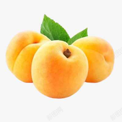新鲜的大黄桃png免抠素材_新图网 https://ixintu.com 新鲜水果 水果 营养 黄桃