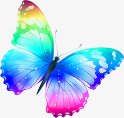 飞翔中的蝴蝶唯美彩色蝴蝶高清图片