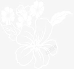 白色花朵线条海报素材
