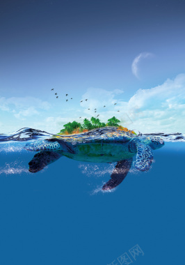 海洋中的乌龟背景素材背景