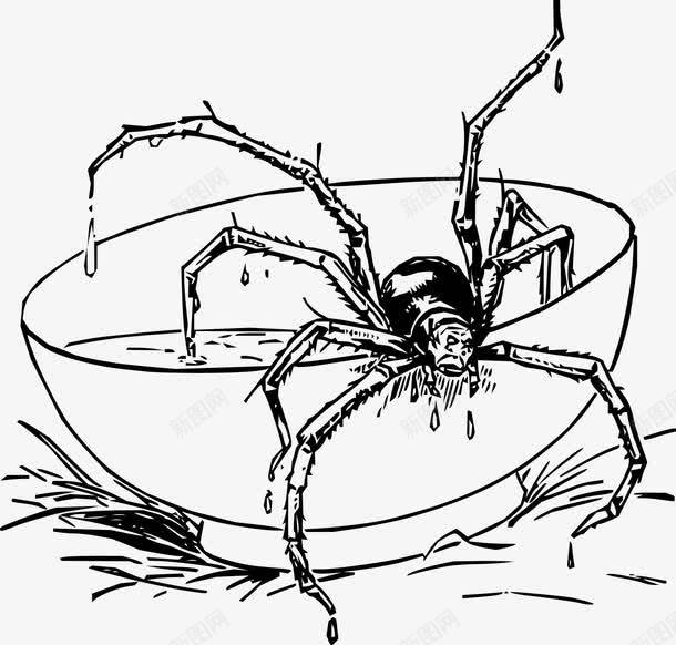从碗里出来的蜘蛛png免抠素材_新图网 https://ixintu.com 从碗里出来的蜘蛛 免费矢量下载 手绘动物
